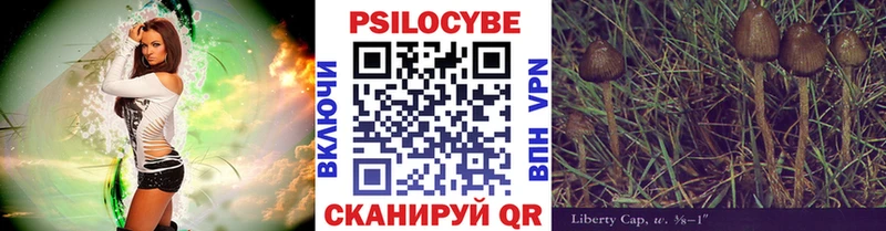 где можно купить наркотик  площадка какой сайт  Галлюциногенные грибы Magic Shrooms  Инза 